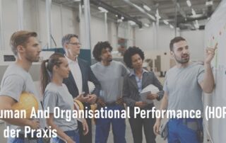 SigmaConsult - Human And Organisational Performance in der Praxis